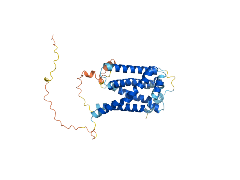 AlphaFold predicted structure of MCP1