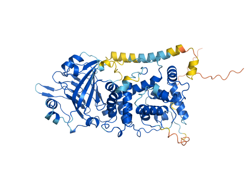 AlphaFold predicted structure of RTC5