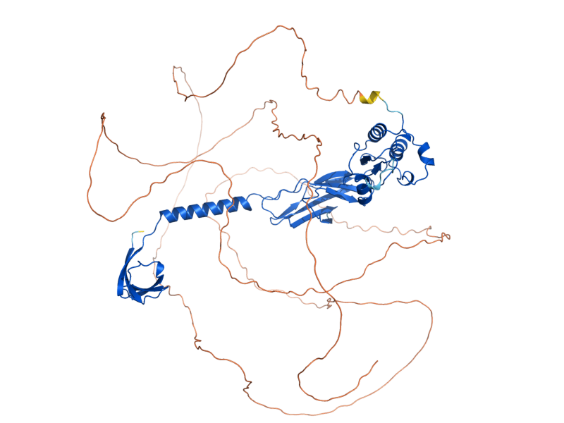 AlphaFold predicted structure of CHS5