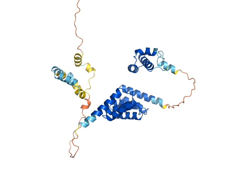 AlphaFold predicted structure of SGT2