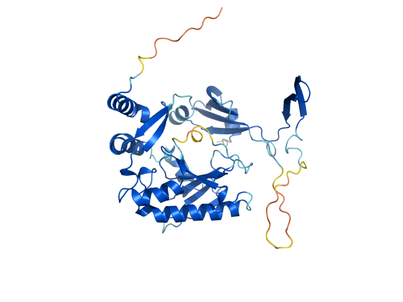 AlphaFold predicted structure of DCS2
