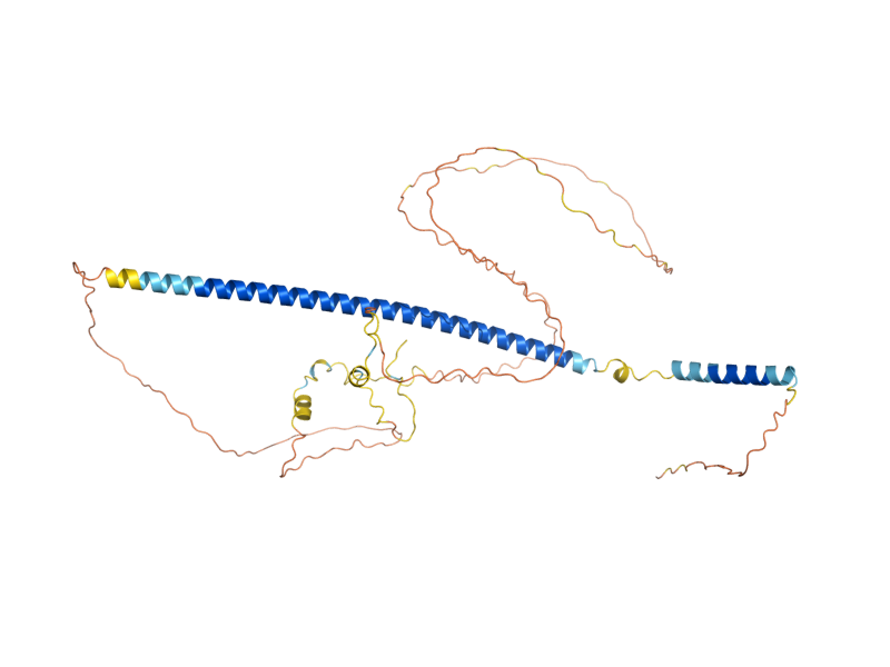 AlphaFold predicted structure of MED2