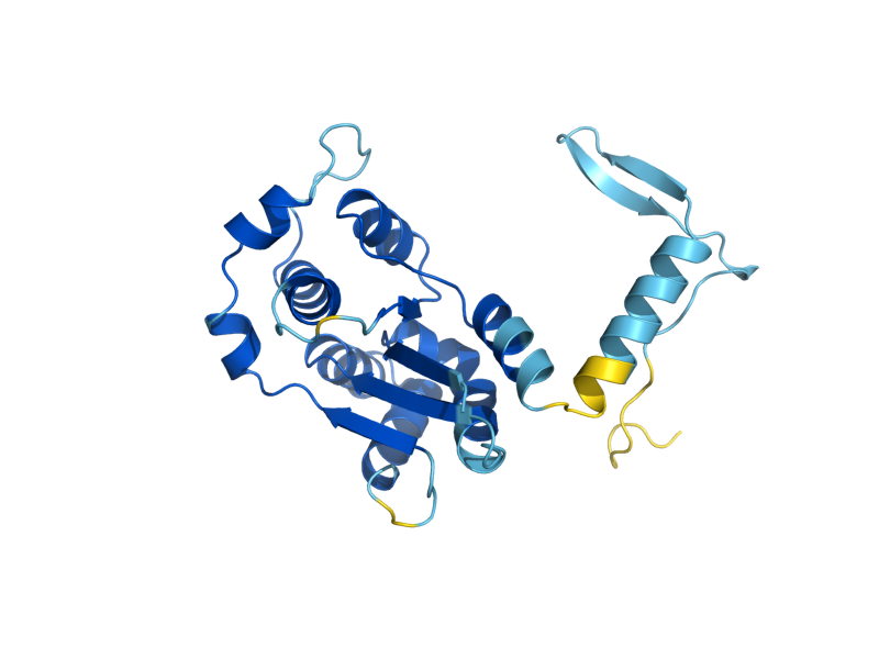 AlphaFold predicted structure of NMD4