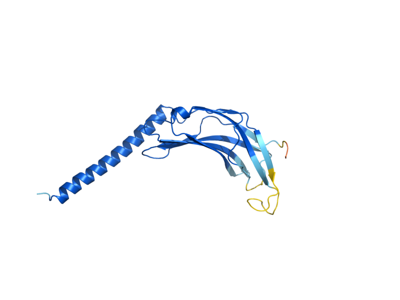 AlphaFold predicted structure of SPC3