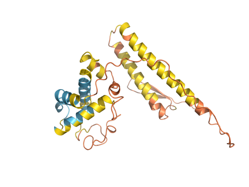AlphaFold predicted structure of HUA2