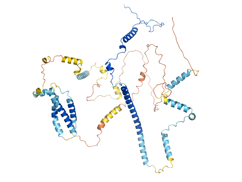 AlphaFold predicted structure of SAS10