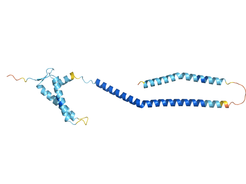 AlphaFold predicted structure of NSL1