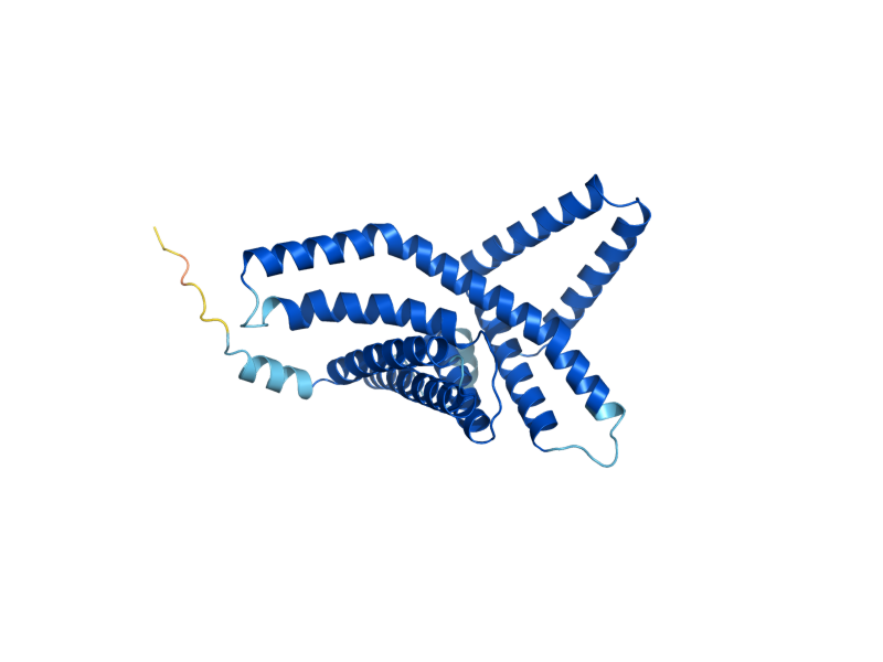 AlphaFold predicted structure of PER33