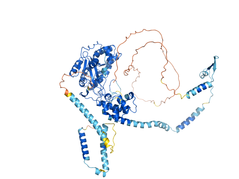 AlphaFold predicted structure of RRP6