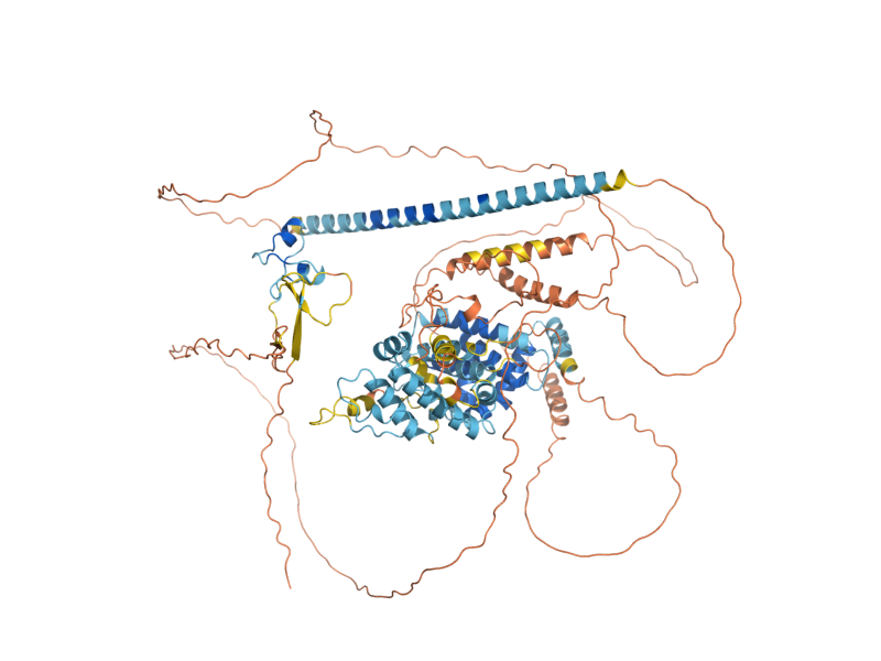 AlphaFold predicted structure of UPC2