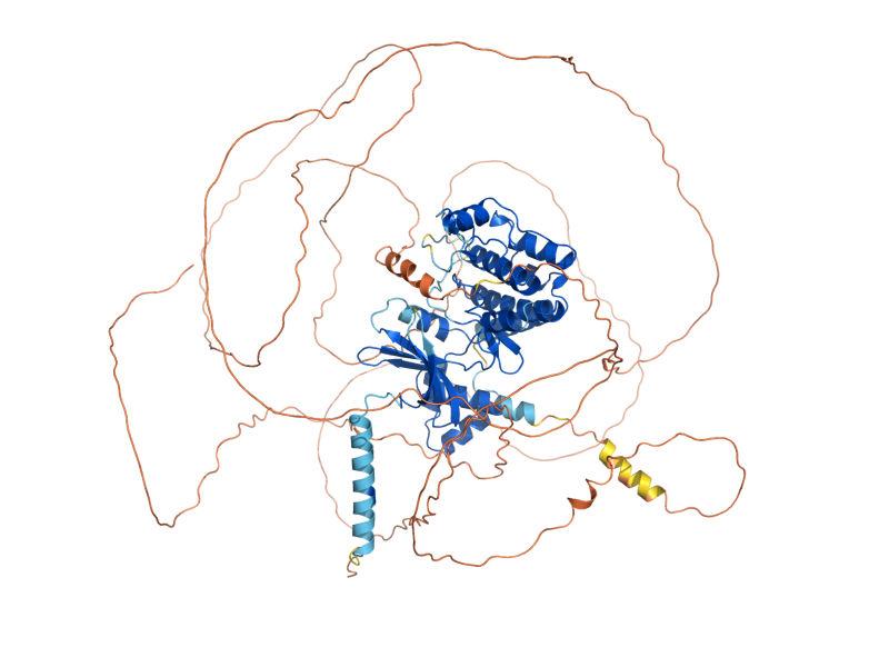 AlphaFold predicted structure of YPL150W