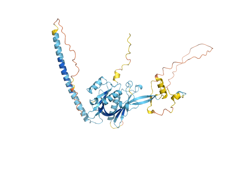 AlphaFold predicted structure of SSF2