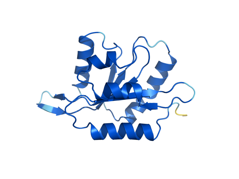 AlphaFold predicted structure of AIM7