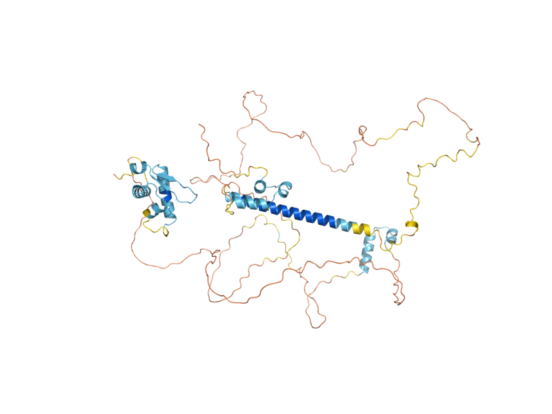 AlphaFold predicted structure of MCD1