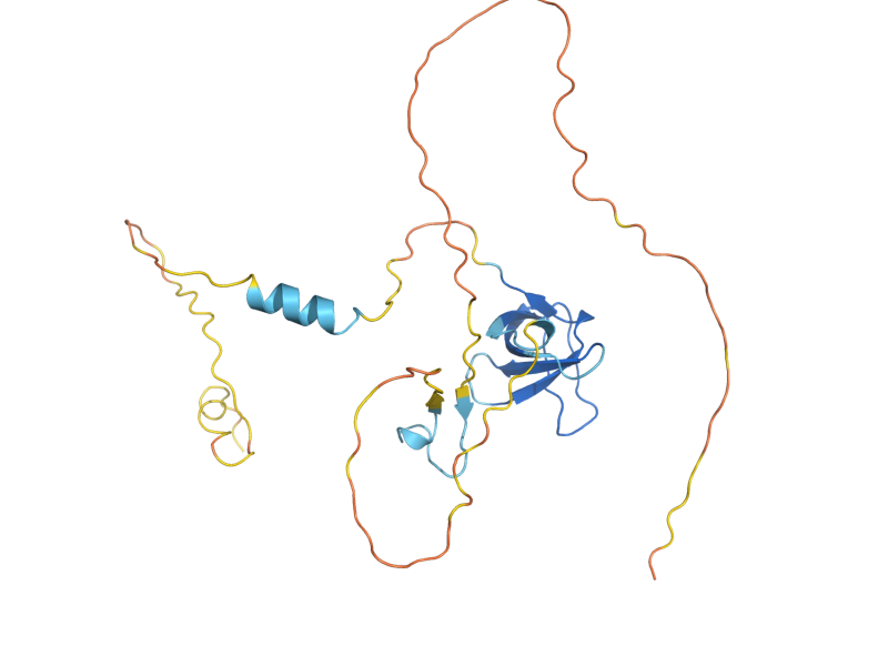 AlphaFold predicted structure of NBP2