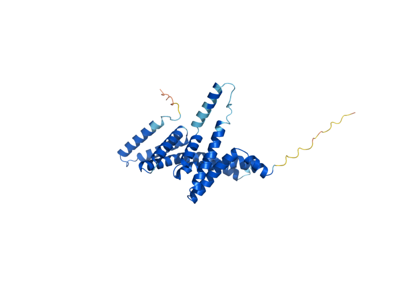 AlphaFold predicted structure of POM33