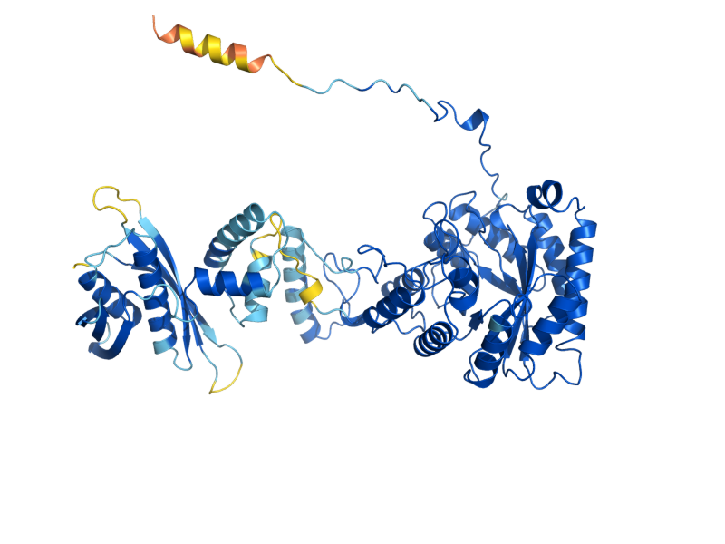 AlphaFold predicted structure of LEU9
