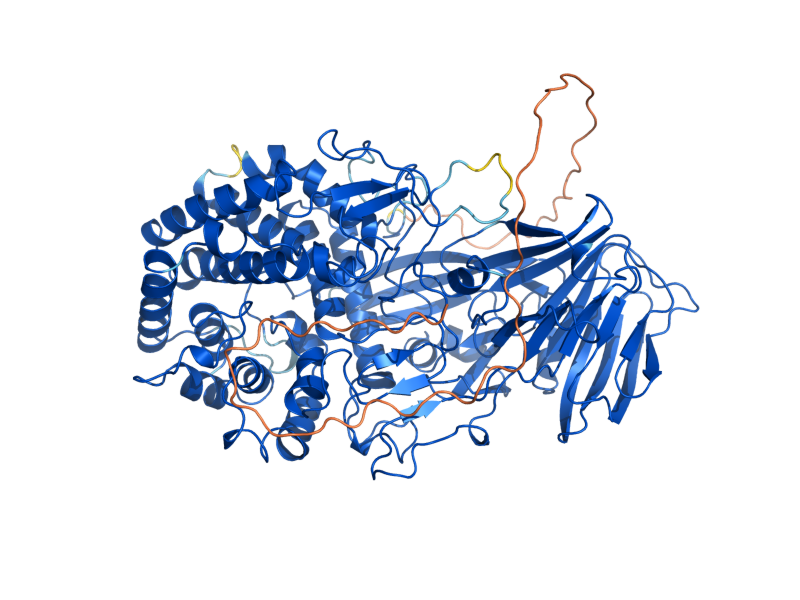 AlphaFold predicted structure of ACF2