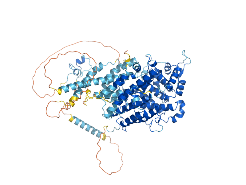 AlphaFold predicted structure of YRR1