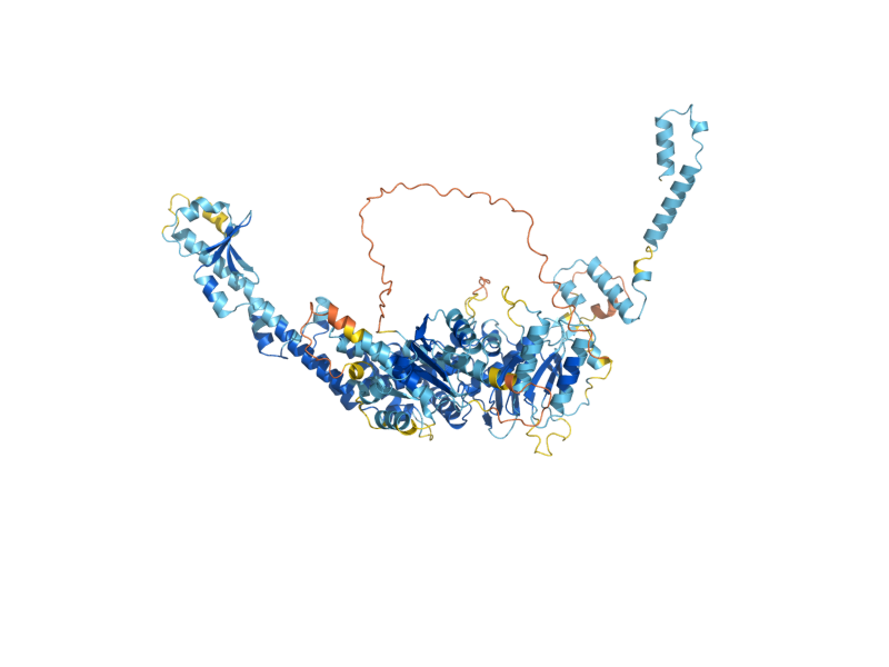 AlphaFold predicted structure of MSH5