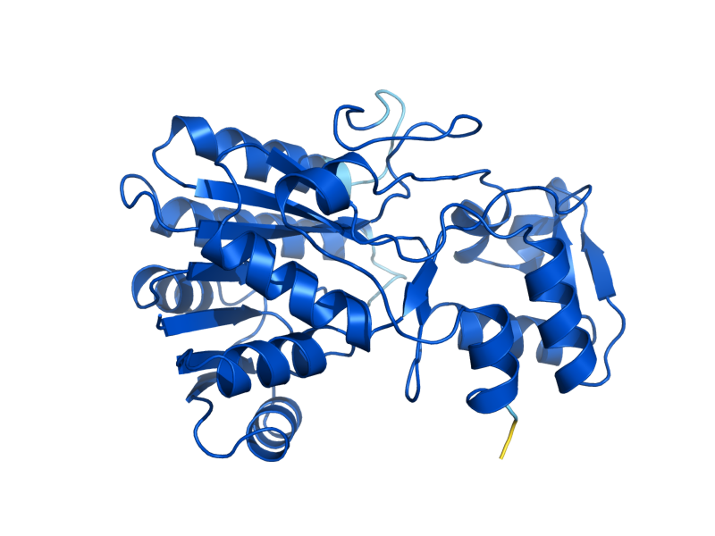 AlphaFold predicted structure of YLL056C