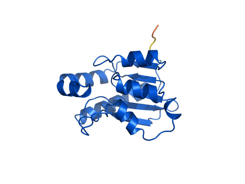 AlphaFold predicted structure of FCY1