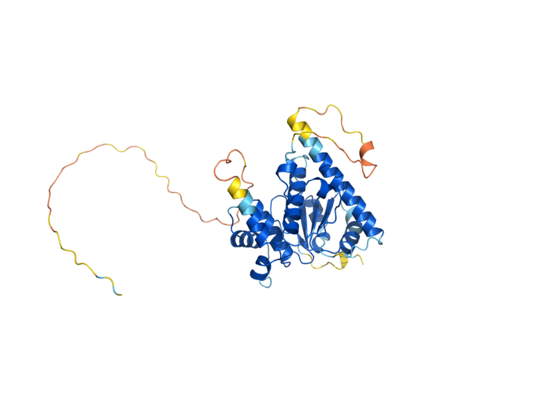 AlphaFold predicted structure of YOR342C