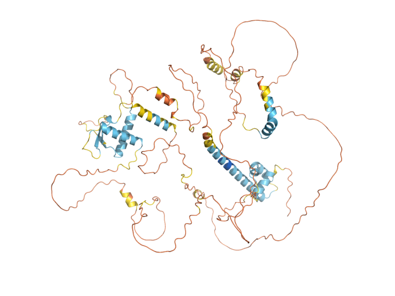 AlphaFold predicted structure of REC8