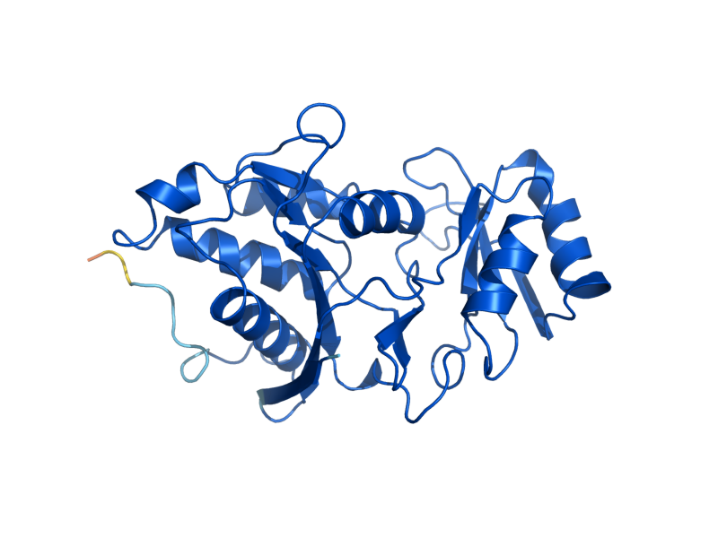 AlphaFold predicted structure of RKI1