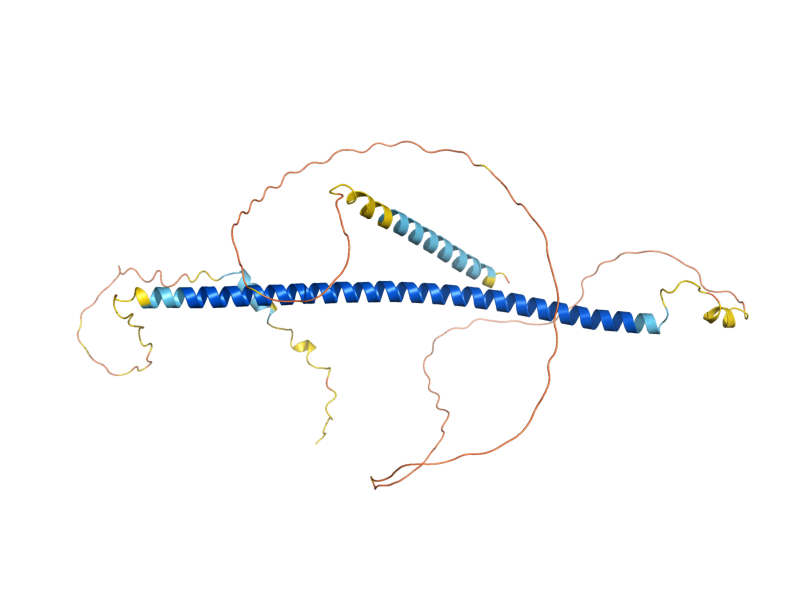 AlphaFold predicted structure of BUG1