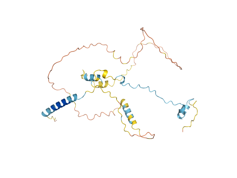 AlphaFold predicted structure of RFM1