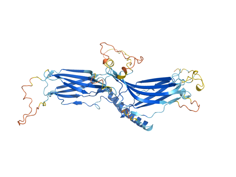 AlphaFold predicted structure of RGL1