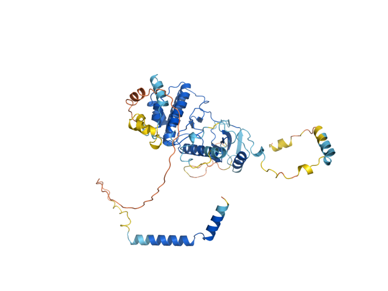 AlphaFold predicted structure of RIO1