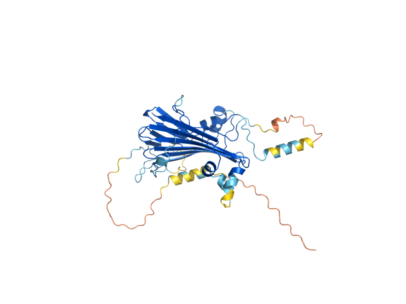 AlphaFold predicted structure of TIP41