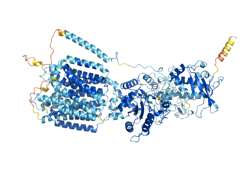 AlphaFold predicted structure of NCR1