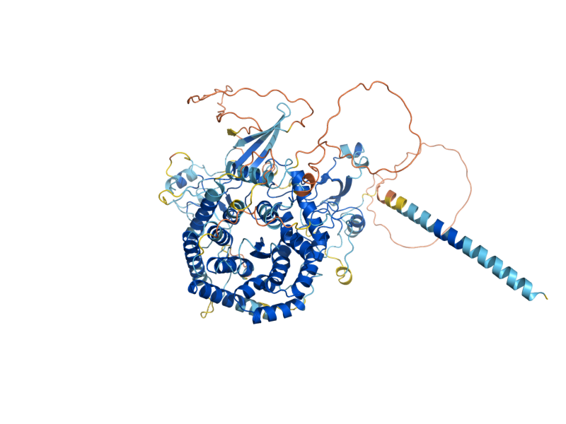 AlphaFold predicted structure of MNL2