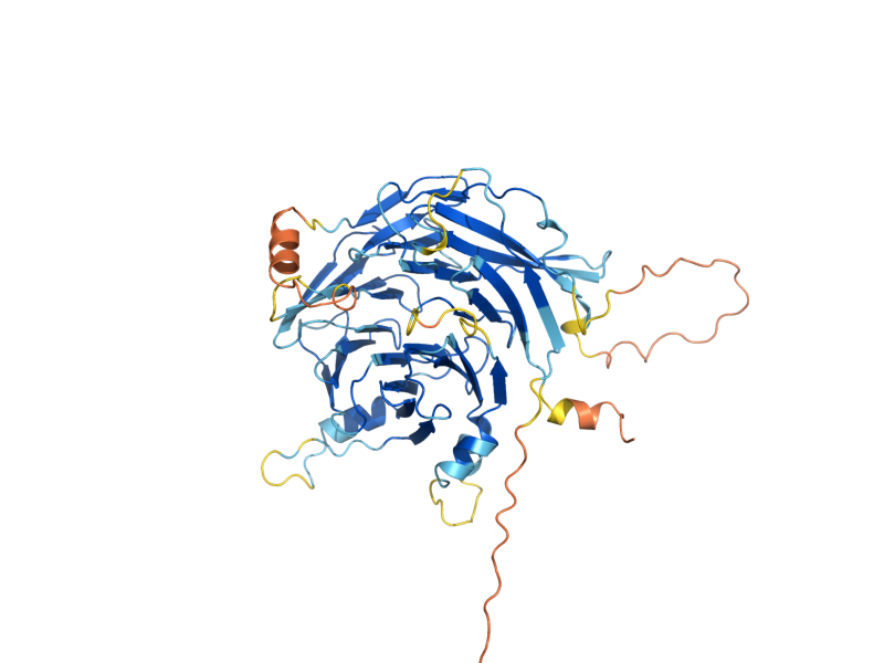 AlphaFold predicted structure of WTM2
