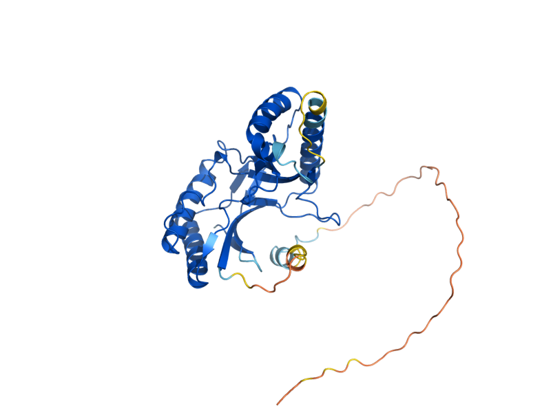 AlphaFold predicted structure of USB1