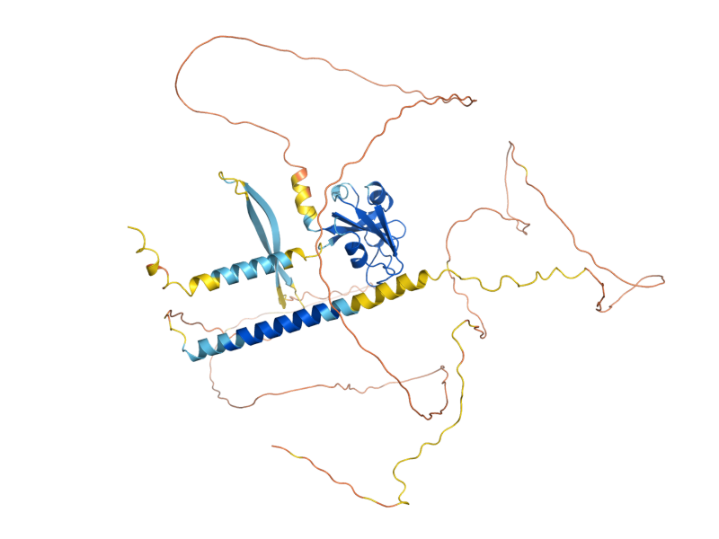AlphaFold predicted structure of WSC3
