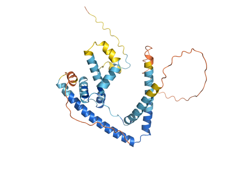 AlphaFold predicted structure of CIM1