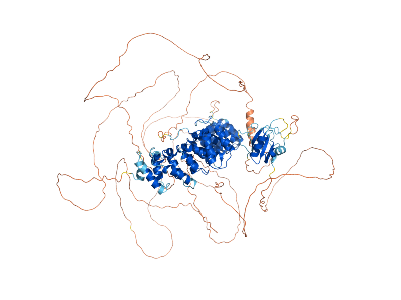 AlphaFold predicted structure of PUF2
