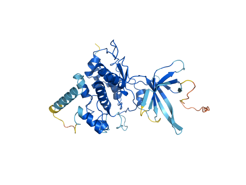 AlphaFold predicted structure of YGK3