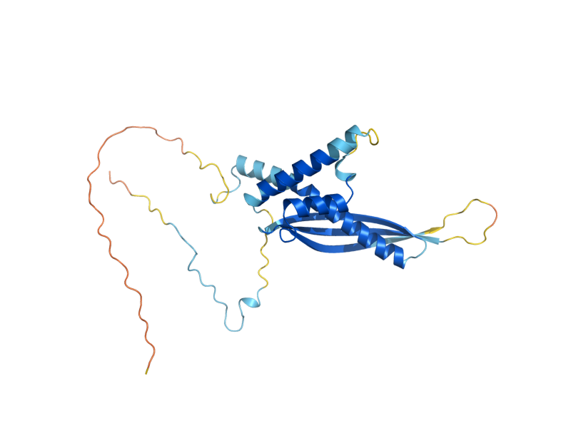 AlphaFold predicted structure of RAD59