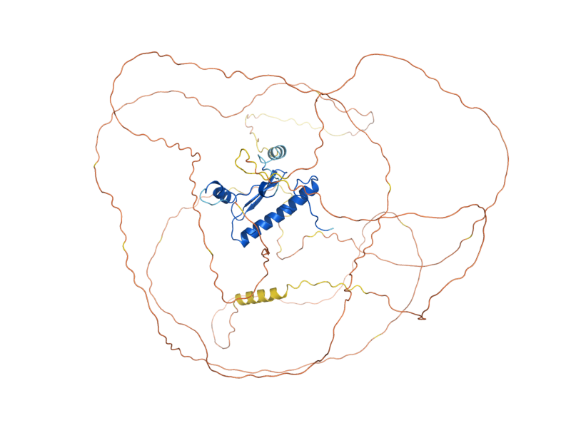 AlphaFold predicted structure of RLM1