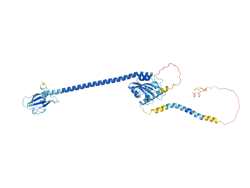 AlphaFold predicted structure of UBX3