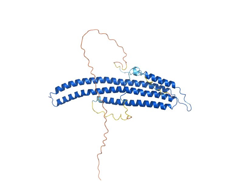 AlphaFold predicted structure of LSP1