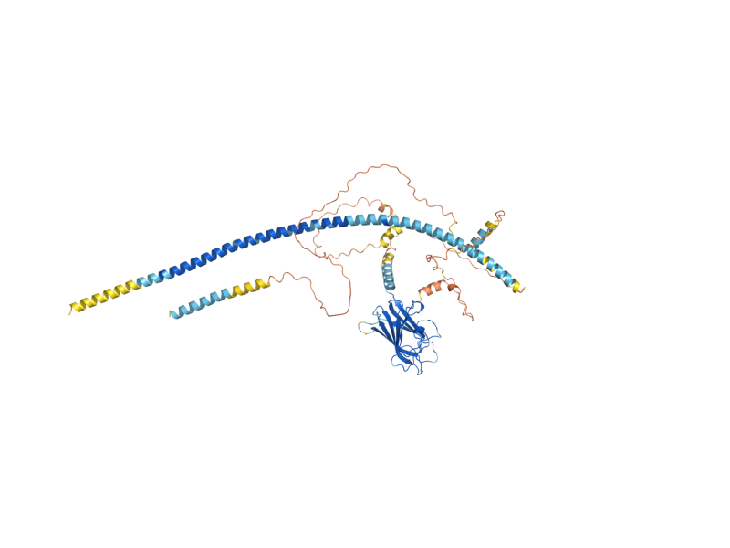 AlphaFold predicted structure of SLP1