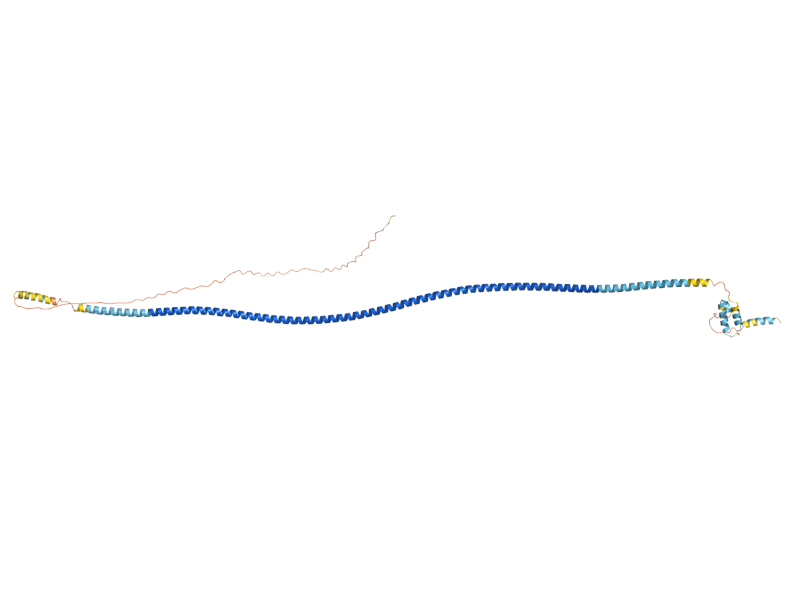 AlphaFold predicted structure of RUD3