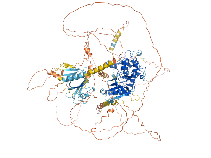 AlphaFold predicted structure of PKH2