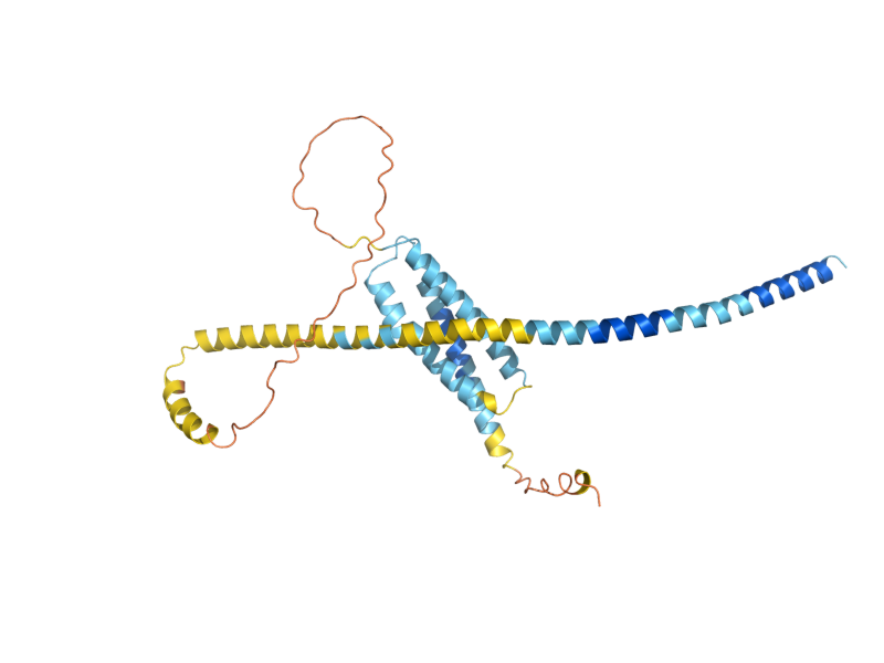 AlphaFold predicted structure of VAM3